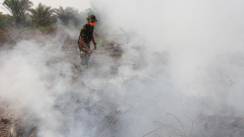Polisi Tetapkan 21 Tersangka Terkait Karhutla di Kalbar