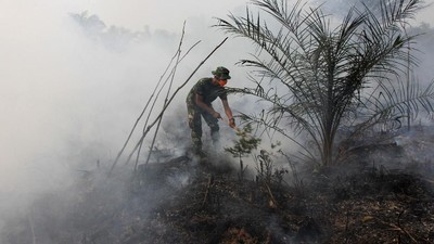 Upaya Pemadaman Karhutla di Aceh Masih Terkendala