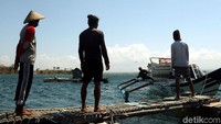 Warga tengah menunggu kapal nelayan menurunkan hasil tangkapannya.