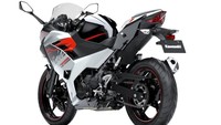 Ninja 250 versi 2020 juga tetap memiliki fitur assist dan slipper clutch yang menjadi fitur standar. Motor ini juga masih memiliki varian khusus yang punya sistem kontak keyless. Foto: Pool (Young Machine)