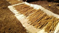 Keunggulannya, menurut para pengrajin tusuk sate ini, daging yang ditusuk tidak akan merosot dibanding menggunakan tusuk sate mesin yang mengkilap