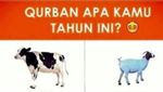 Jelang Idul Adha Ini Meme Hewan Kurban Bikinan Netizen