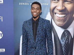 Chadwick Boseman Meninggal, Netflix Tunda Promosi Film Terbarunya