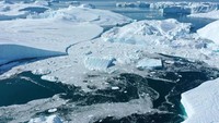Greenland kehilangan lebih dari 2 miliar ton es atau 40 persen lebih yang meliputi luas wilayahnya pada Juni lalu. Sean Gallup/Getty Images.