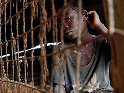 1.800 Orang Tewas Akibat Wabah Malaria di Afrika