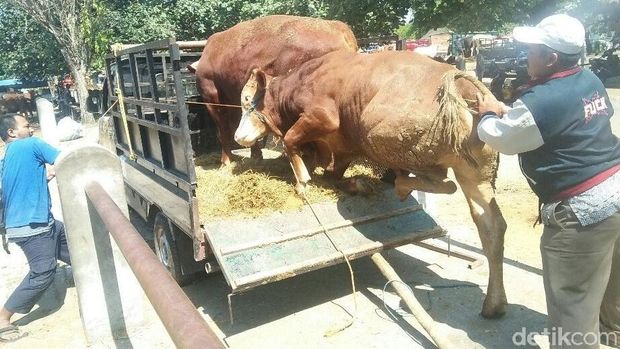 Pemkab Sragen Imbau Pembagian Daging Kurban Tak Pakai Plastik