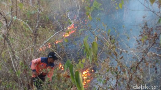 Kebakaran lahan jati dan sono di Wonogiri. 