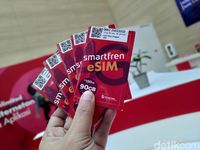 Cara Registrasi Kartu Smartfren Anti Gagal, Mudah Dan Cepat!