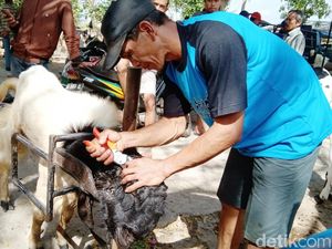 Salon Kambing di Purworejo Laris Manis, Bisa Creambath dan Rebonding!