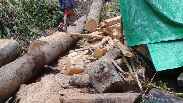 Beruntung mereka mengaku sebagai pemuda setempat yang ingin ke Air Terjun Rempa Peo. Mereka pun selamat. Mereka juga sempat mengambil beberapa foto. (dok. Istimewa) Beruntung mereka mengaku sebagai pemuda setempat yang ingin ke Air Terjun Rempa Peo. Mereka pun selamat. Mereka juga sempat mengambil beberapa foto. (dok. Istimewa)