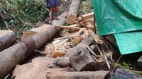Beruntung mereka mengaku sebagai pemuda setempat yang ingin ke Air Terjun Rempa Peo. Mereka pun selamat. Mereka juga sempat mengambil beberapa foto. (dok. Istimewa)