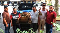 Tim Polres Tebing Tinggi menangkap tiga orang warga Kabupaten Serdang Bedagai (Sergai), Sumatera Utara dalam kasus ini. Tiga tersangka yang ditangkap yaitu Suryadi, Sofian dan Eko Wijaya yang merupakan warga Dusun I, Desa Pekan Sialang Buah, Kecamatan Teluk Mengkudu, Sergai. Pool/KLHK Sumatera.