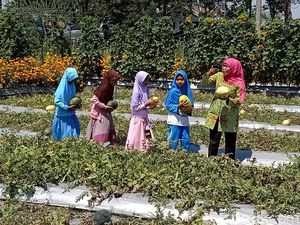 Resmikan Kebun Bunga Dewi Cemara, Khofifah: Inovasi Harus Digalakkan