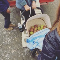 Jika tak ingin repot dan lelah membawa belanjaan, Anda bisa memanfaatkan stroller tak terpakai. Instagram: @jedi_julie