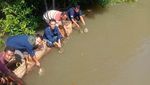 Ini 332 Belangkas yang Disita dari Pengumpul Kepiting