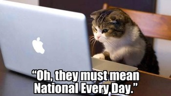 Reaksi kucing melihat netizen yang berbondong mengucapkan selamat hari kucing sedunia. (Foto: me.me)