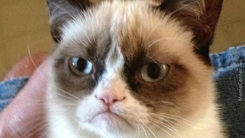 Mau hari apapun, si grumpy cat tetap akan selalu memasang ekspresi yang sama. (Foto: me.me)
