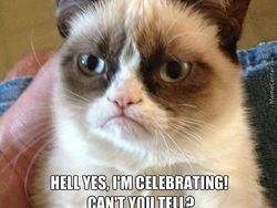 Miaw! Meme Kocak Rayakan Hari Kucing Sedunia