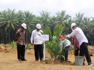 Kementan Buka Rahasia di Balik Naiknya PDB Pertanian