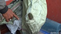 Sore setelah dapat dikeluarin itu kita letakkan dulu di pinggir depan rumah. Lalu kemudian kita masukkan dalam karung, tetapi pada pagi harinya ular itu hilang kabur dengan menjebol karung yang ada, kata Sumiati