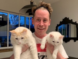Kutukan Home Alone, Film Natal yang Jadi Favorit