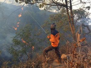 Kebakaran Hutan Gunung Ciremai, 5 Pendaki Belum Turun