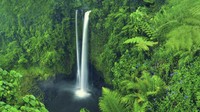 Walau terkesan kecil, negara ini memiliki potensi wisata alam yang sangat besar. Samoa terbentuk dari 9 pulau vulkanik, ini mengapa tanahnya sangat subur. (iStock)