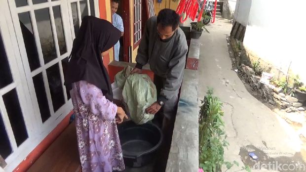 Ular sanca nongol dari lubang WC kabur.