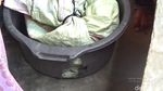 Ini Lubang WC Tempat Ular Sanca 4 Meter Mendadak Nongol