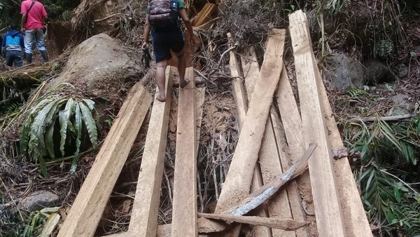 Tampak dalam foto terlihat potongan kayu-kayu yang siap diangkut. Mereka meyakini jumlahnya lebih dari 1.000 kubik, bukan 100 kubik seperti yang disita polisi. (dok. Istimewa) Tampak dalam foto terlihat potongan kayu-kayu yang siap diangkut. Mereka meyakini jumlahnya lebih dari 1.000 kubik, bukan 100 kubik seperti yang disita polisi. (dok. Istimewa)