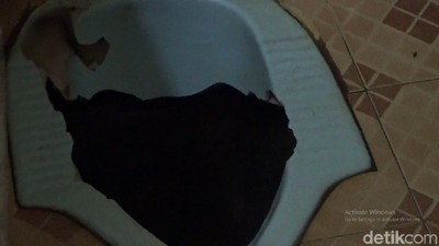 Ini Lubang WC Tempat Ular Sanca 4 Meter Mendadak Nongol
