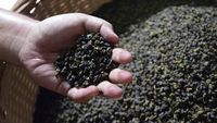 Fantastis! Ini Harga Keju, Kentang, hingga Melon Termahal di Dunia