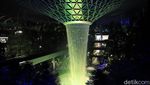 Potret Air Terjun Jewel Changi di Malam Hari