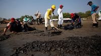 Pertamina Terus Bersihkan Sisa Tumpahan Minyak Di Pesisir Karawang