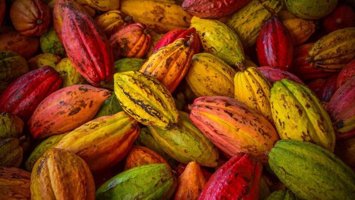 Foto: shutterstock Foto: shutterstock