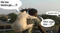 Editan foto ini menggambarkan seekor kambing yang digendong untuk diantar ke tempat pemotongan. Foto: Istimewa