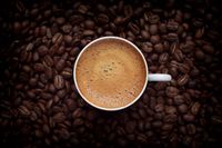 Peneliti: Minum Tiga Cangkir Kopi Sehari Bisa Picu Migrain