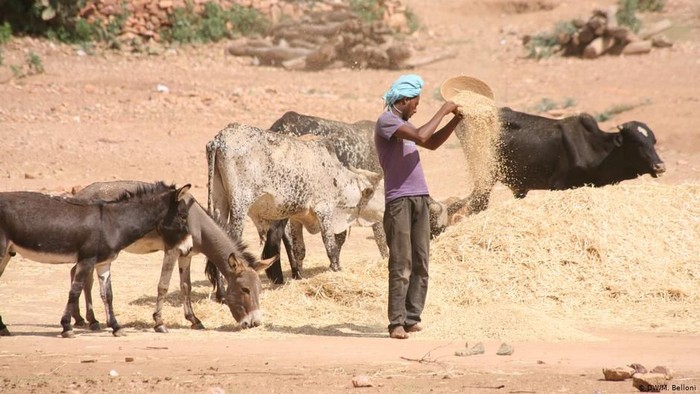 Dewan Pakar: Iklim dan Keamanan Pangan Terancam, Manusia Harus Berubah