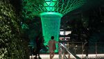 Potret Air Terjun Jewel Changi di Malam Hari