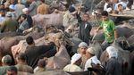 Intip Persiapan Idul Adha di Berbagai Belahan Dunia