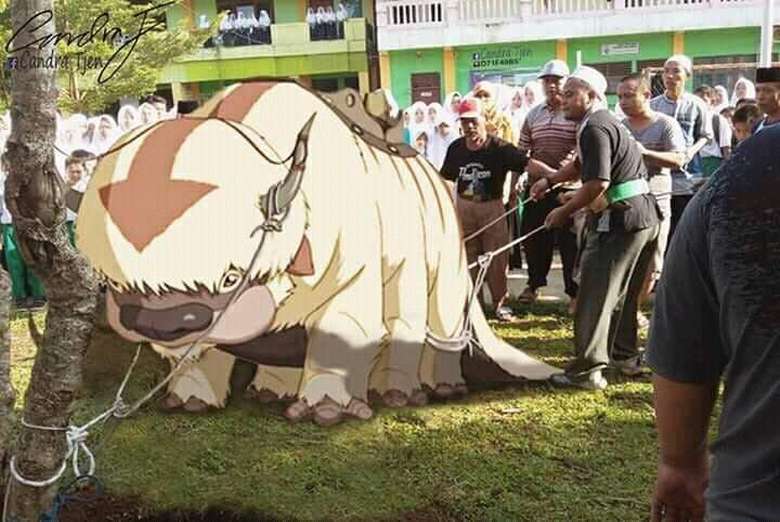  Terbagus  30 Gambar  Kambing Dan Sapi Kurban Kartun 