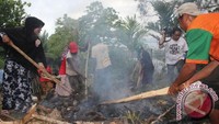 Unik warga Wamena rayakan Idul adha dengan bakar batu. Setelah itu di atas batu ditaruh daging yang kemudian dimasak dan dimakan bersama. Foto: Istimewa