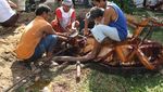 Kocak! 10 Foto Editan Menyembelih Hewan Kurban Ini Karya Netizen