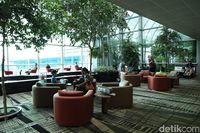 Apakah Bandara Komodo Akan Dibuat Seperti Bandara Changi?