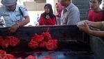 Ini Keseruan Potong Daging Saat Idul Adha