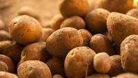Fantastis! Ini Harga Keju, Kentang, hingga Melon Termahal di Dunia