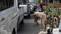 Sayangnya, para pedagang tersebut berjualan di atas trotoar yang seharusnya dimanfaatkan untuk para pejalan kaki yang melintas di kawasan tersebut.