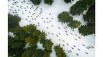 Foto-foto Drone Terbaik 2019