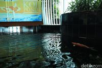 Catat! Ini 6 Fasilitas Gratis di Bandara Changi, Singapura