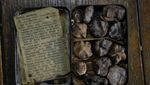 Ditemukan Di Makam hingga Dalam Tanah, Ini Makanan Berusia Ribuan Tahun